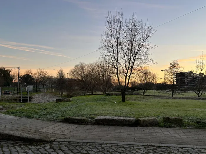 Parque ao fim da tarde, com relva, uma árvore grande e prédios ao fundo.
