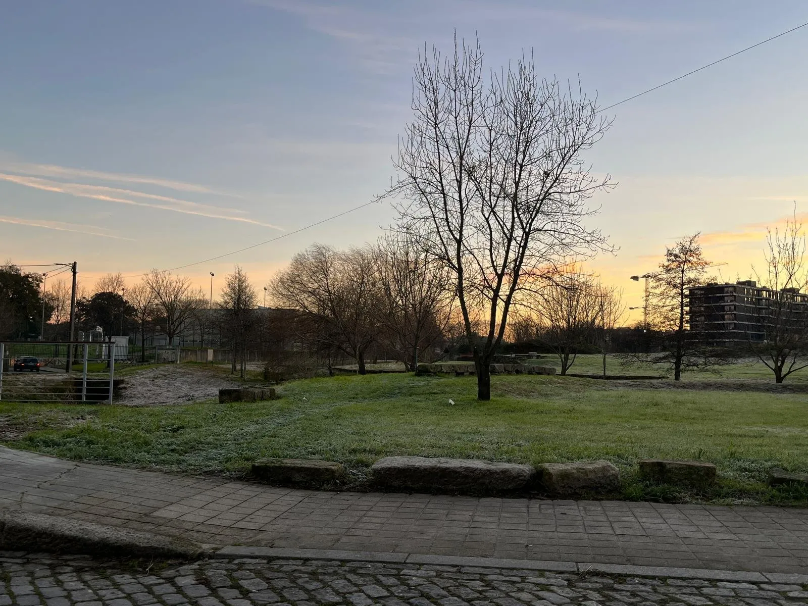 Parque de Requesende ao fim da tarde, com relva, árvores e prédios ao fundo.