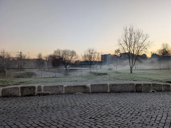 Parque junto à ribeira numa manhã de nevoeiro, com árvores despidas e relva com geada.